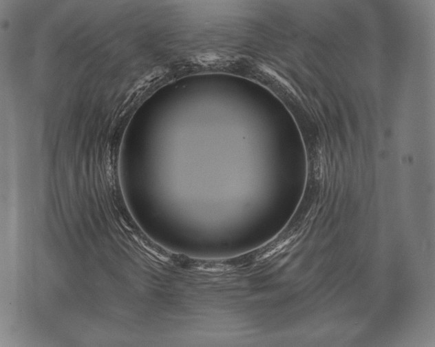 X0000073541298200608071045