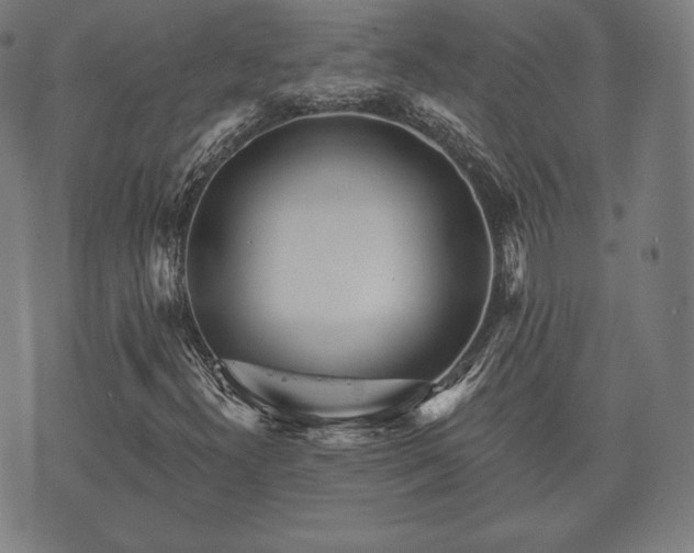 X0000073541300200608071045