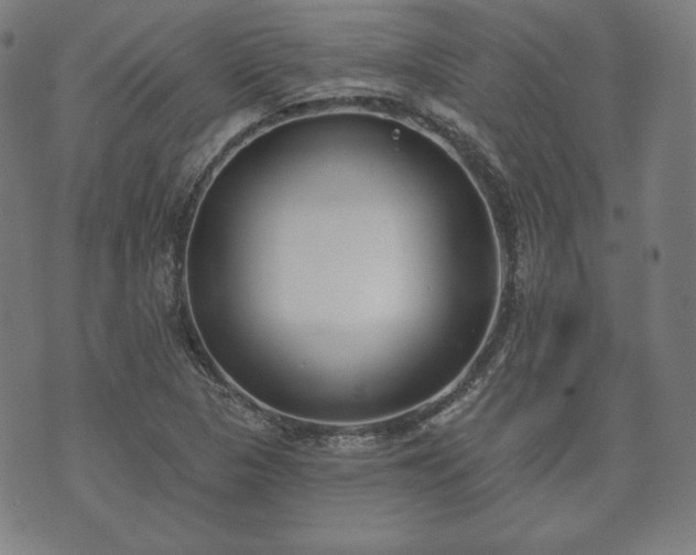 X0000073541313200608071045