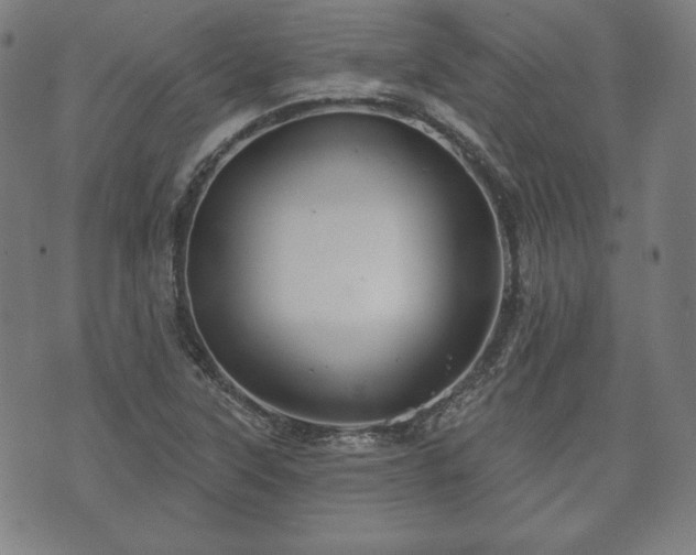 X0000073541315200608071045