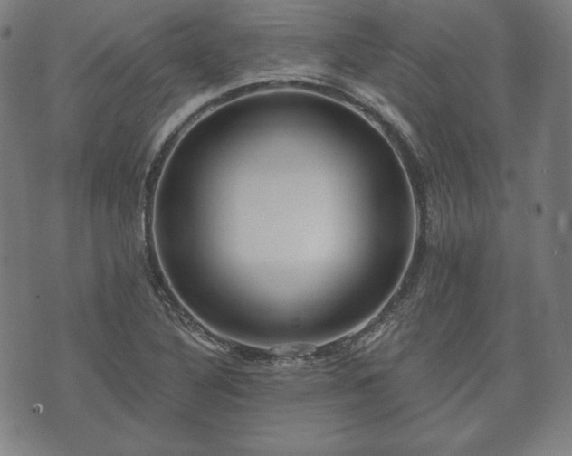 X0000073541316200608071046