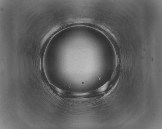 X0000073541317200608071046