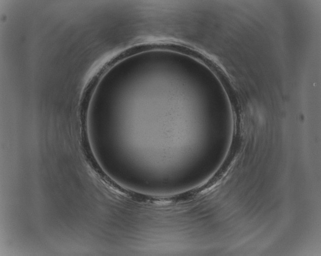 X0000073541319200608071046
