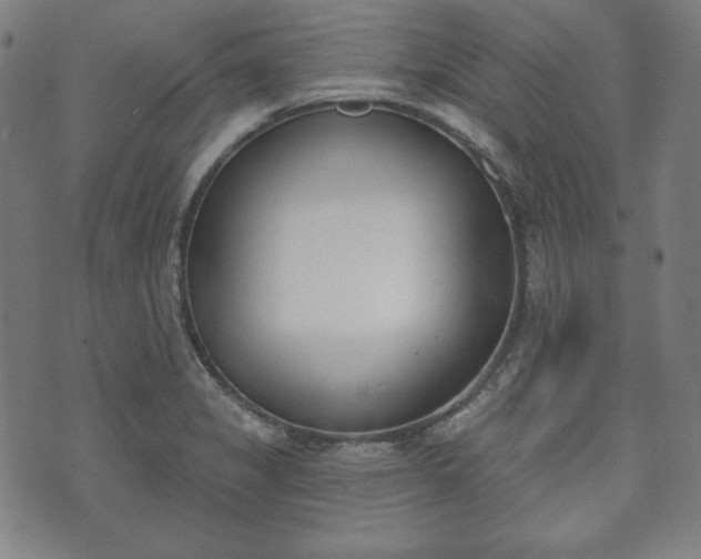 X0000073541325200608071046