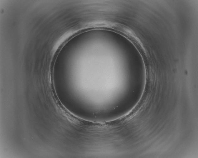 X0000073541328200608071046