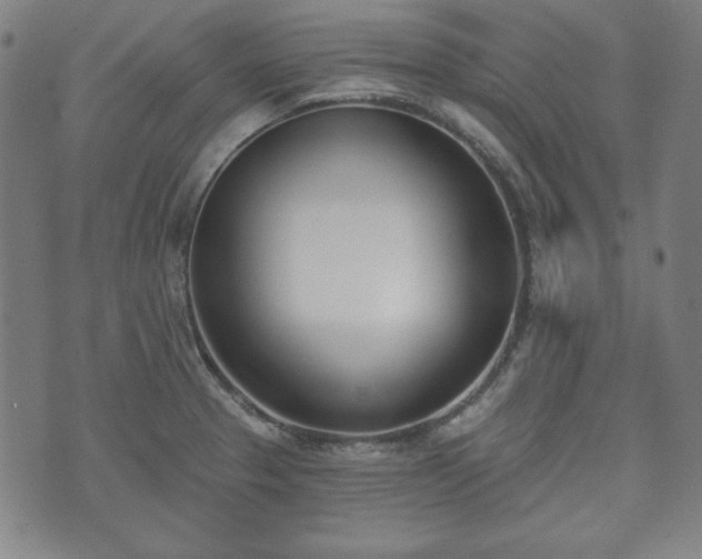 X0000073541329200608071046