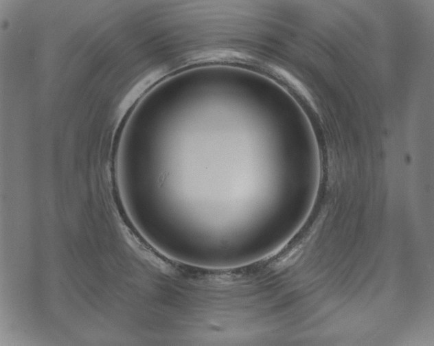 X0000073541330200608071046