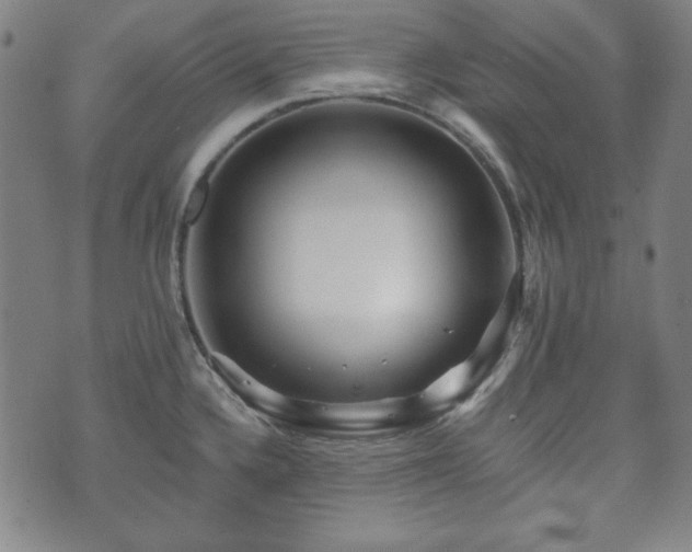 X0000073541336200608071046