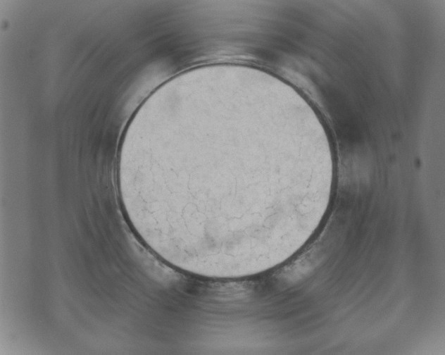 X0000073541338200608071046