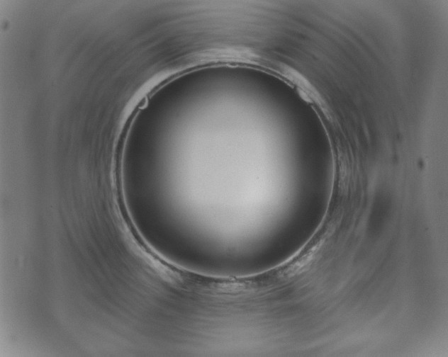 X0000073541339200608071046