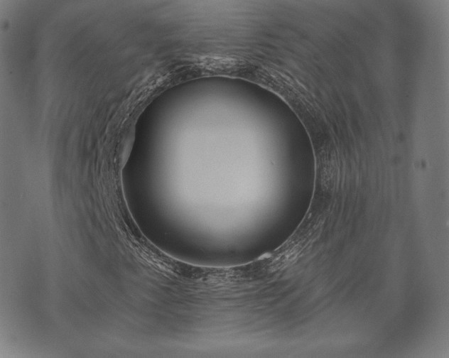 X0000073541345200608071045