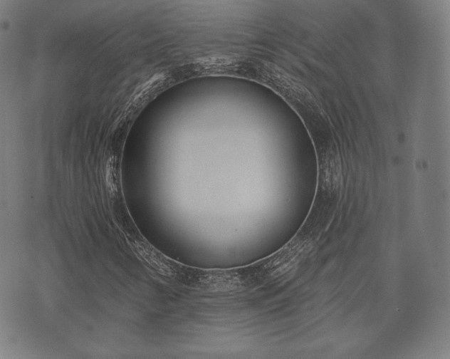 X0000073541346200608071045