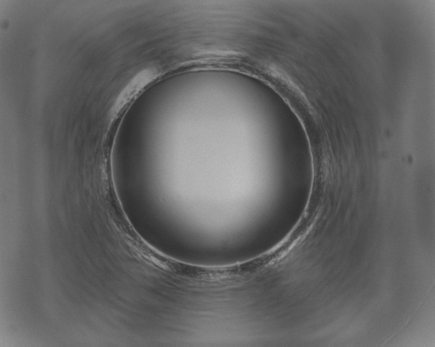 X0000073541362200608071045