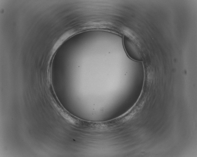 X0000073541370200608071045