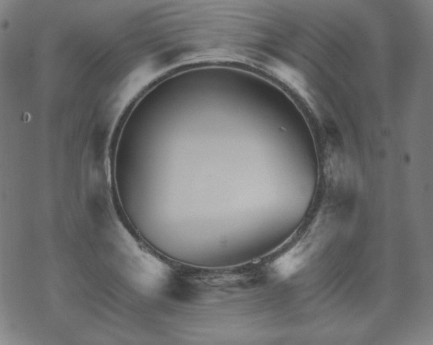 X0000073541372200608071045