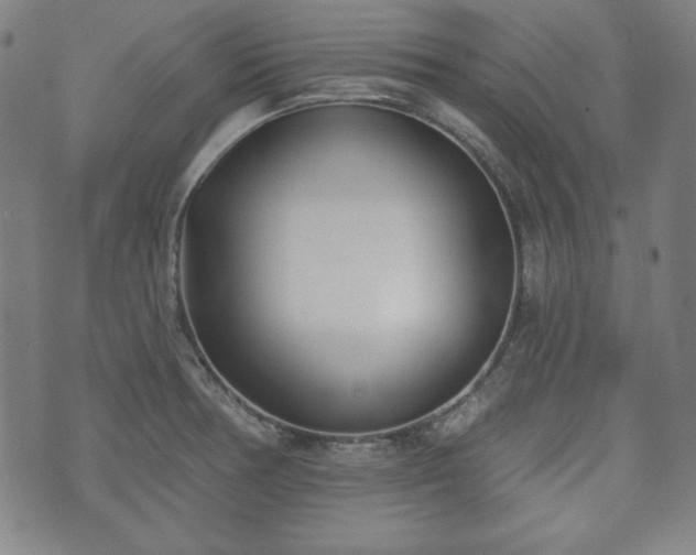 X0000073541378200608071045