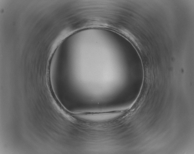 X0000073541379200608071045