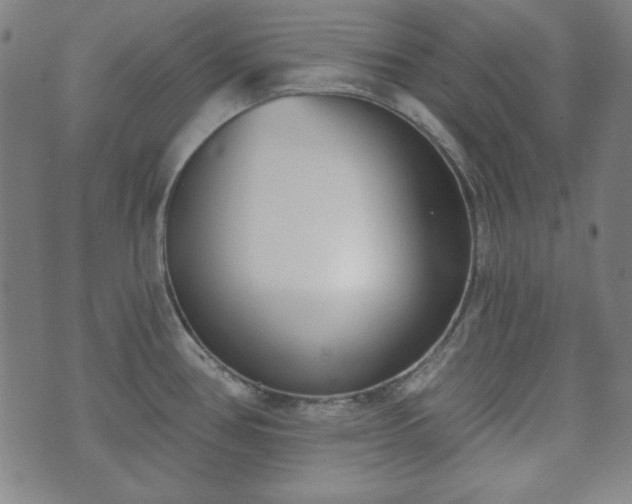 X0000073541386200608071045
