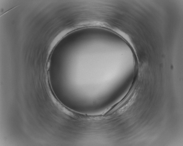 X0000073541389200608071044