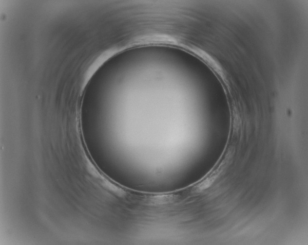 X0000073541390200608071044