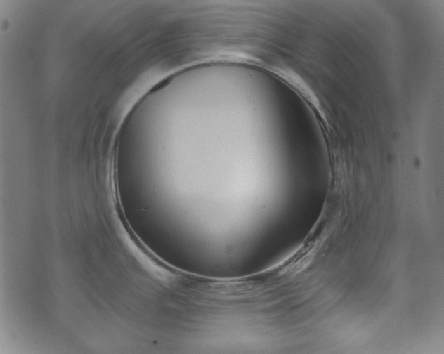 X0000073541391200608071044