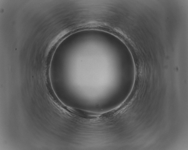 X0000073541410200608071044