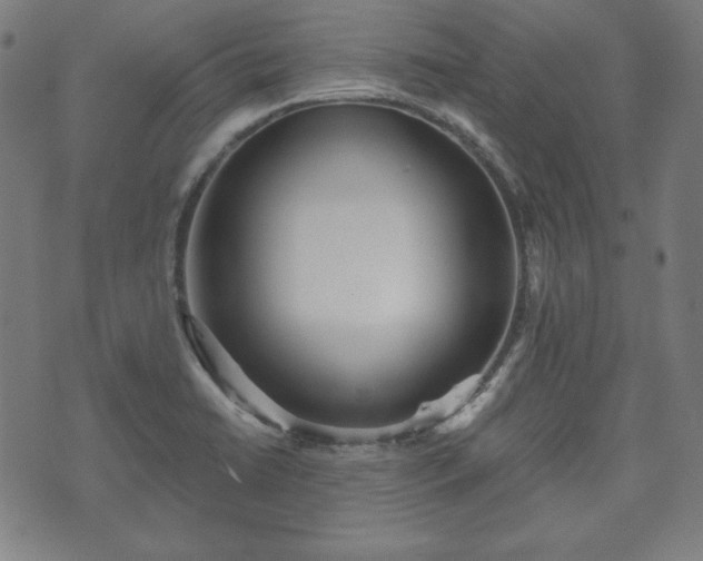 X0000073541422200608071044