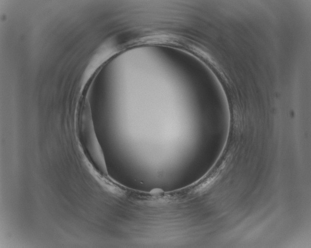 X0000073541426200608071044
