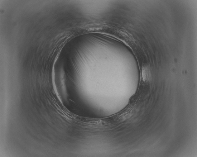 X0000073541444200608071044