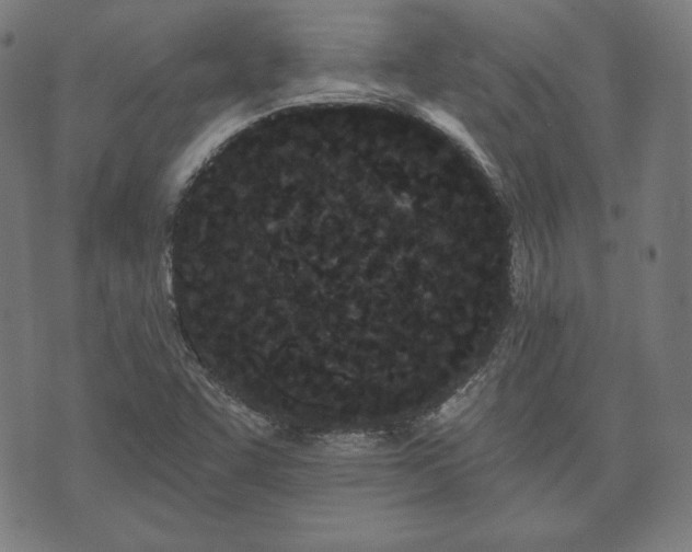 X0000073541455200608071043