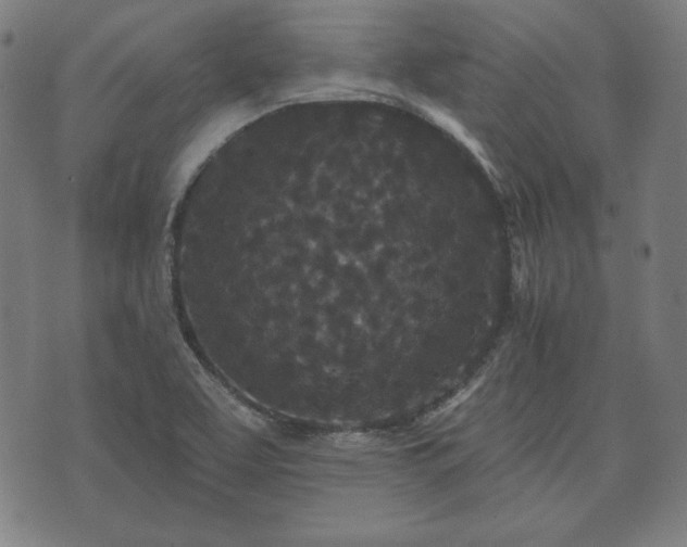 X0000073541463200608071043