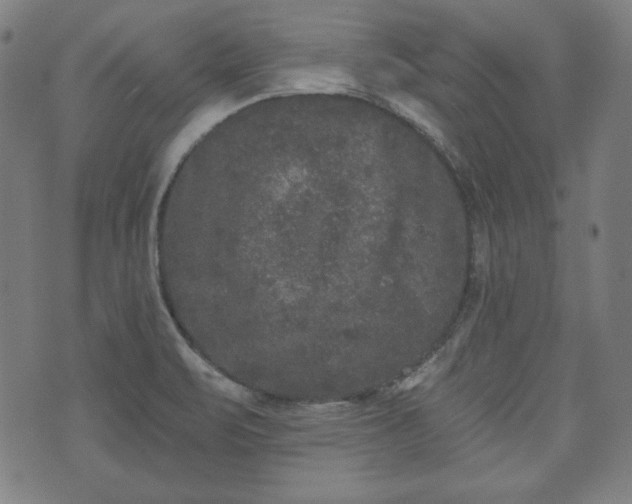 X0000073541471200608071043