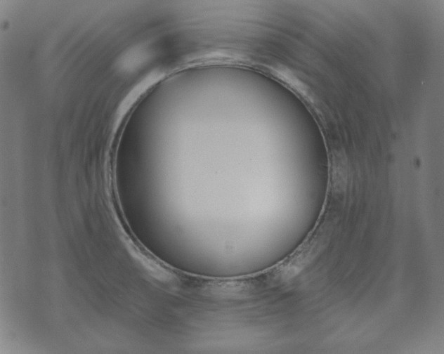 X0000073541474200608071043