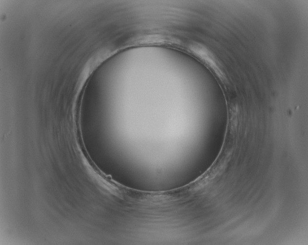 X0000073541475200608071043
