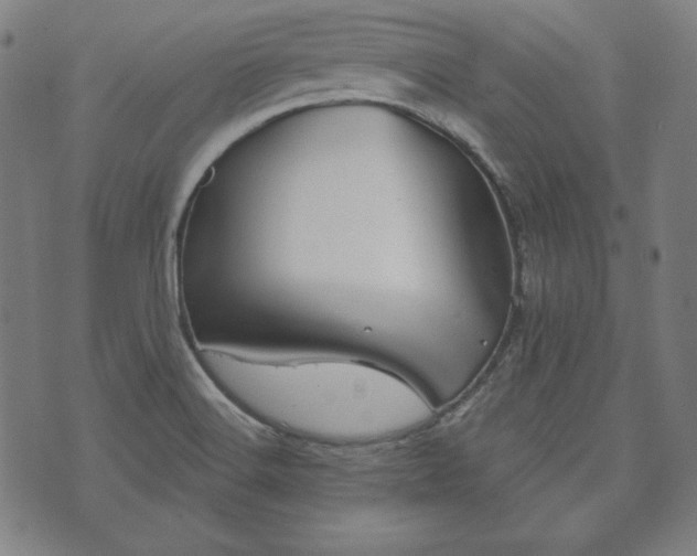 X0000073541516200608071043