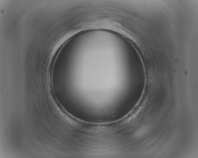 X0000073541517200608071043