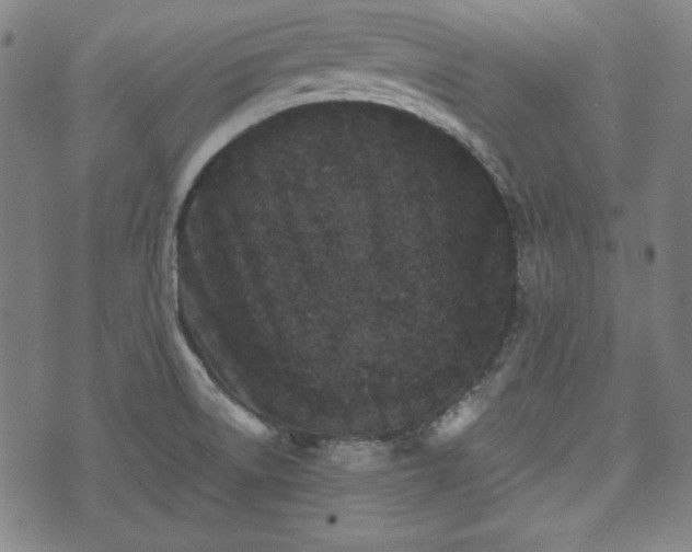 X0000073541522200608071043