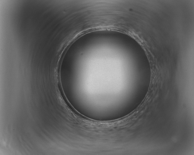 X0000073540002200608141104