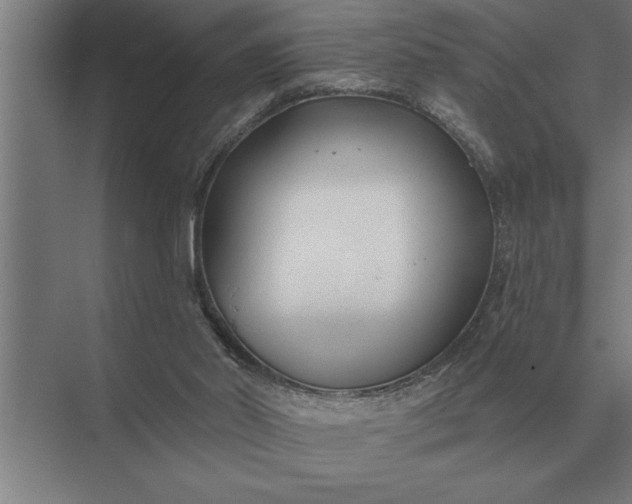 X0000073540014200608141104