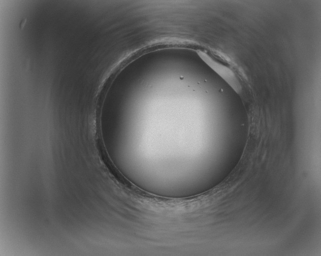X0000073540015200608141104