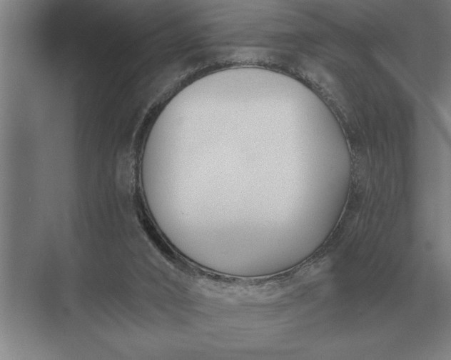X0000073540016200608141104