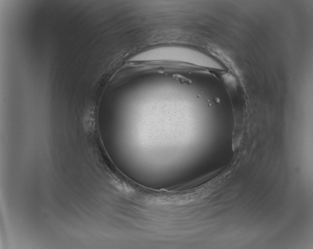 X0000073540017200608141104
