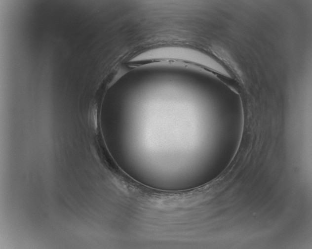 X0000073540021200608141104