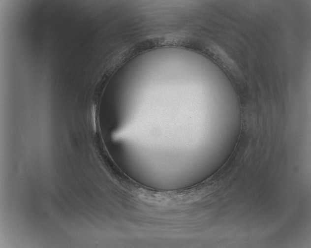 X0000073540022200608141104
