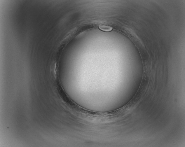 X0000073540024200608141104