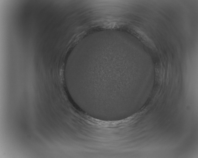X0000073540035200608141104