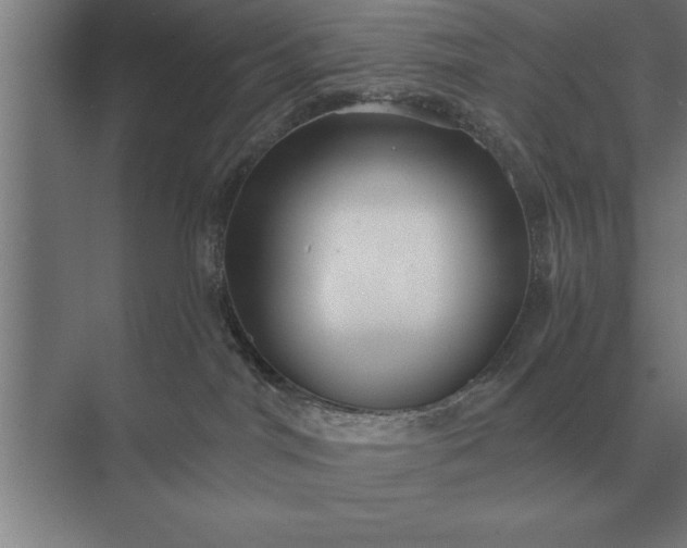 X0000073540044200608141103