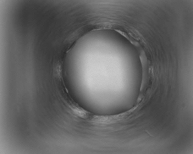 X0000073540045200608141103