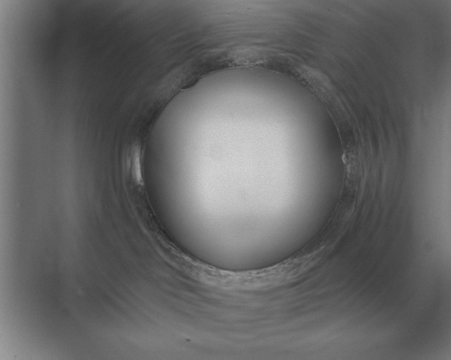 X0000073540046200608141103