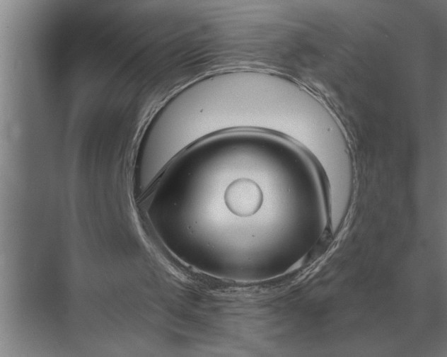 X0000073540049200608141103